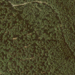 Satellite imagery of Eulerskopf, DE