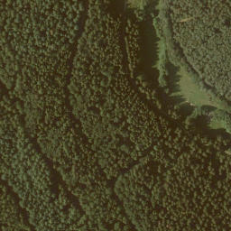 Satellite imagery of Eulerskopf, DE