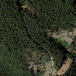Satellite imagery of Tannenberg, DE