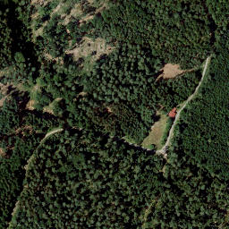 Satellite imagery of Tannenberg, DE