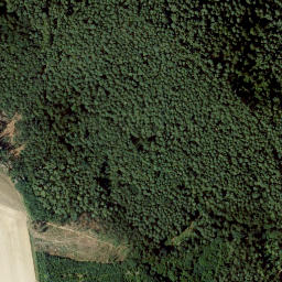 Satellite imagery of Wasunger Berg, DE