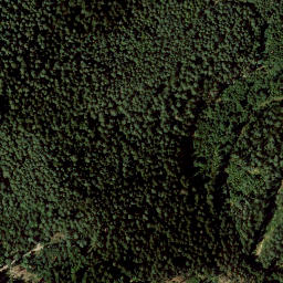 Satellite imagery of Wasunger Berg, DE