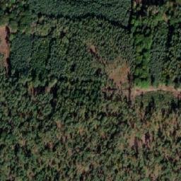Satellite imagery of Hlavnov [Vlkava], CZ