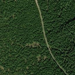 Satellite imagery of Pod Homolí [Orlické Záhoří-Kunštát] GSM, CZ