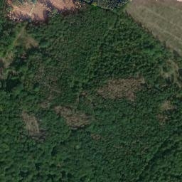 Satellite imagery of Oberhorst, DE