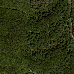 Satellite imagery of Kleiner Höhberg, DE