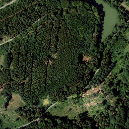 Satellite imagery of Buchleite, DE