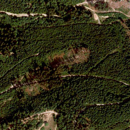 Satellite imagery of Höppelesberg, DE