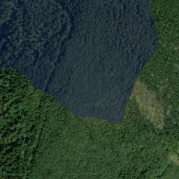 Satellite imagery of Łupkowa, CZ