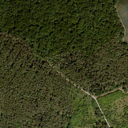 Satellite imagery of Kleiner Höhberg, DE