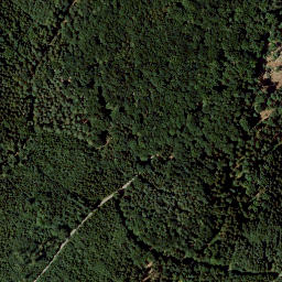 Satellite imagery of Buchleite, DE