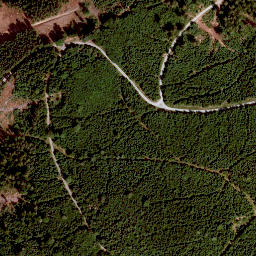 Satellite imagery of Döbra, DE