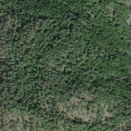 Satellite imagery of Elephant Mountain, CA