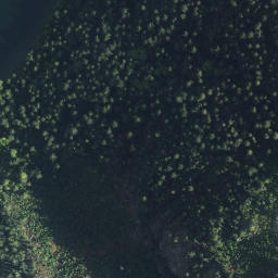 Satellite imagery of Foster Point, CA