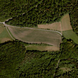 Satellite imagery of Büchelberg, DE