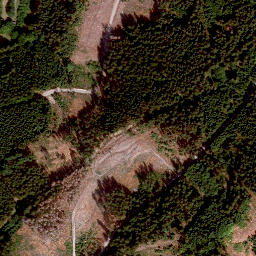 Satellite imagery of Baumgarten, DE