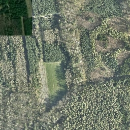 Satelita
