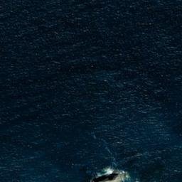 Satellite imagery of Gull Rock, GB