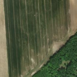 Satellite imagery of Sobětušský bor [Nechanice-Sobětuš], CZ