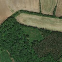 Satellite imagery of Sobětušský bor [Nechanice-Sobětuš], CZ