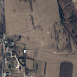 Satelita