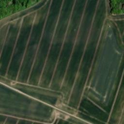 Satellite imagery of Heßberg, DE