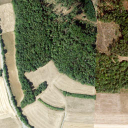 Satellite imagery of Spitzberg, DE
