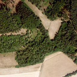 Satellite imagery of Spitzberg, DE