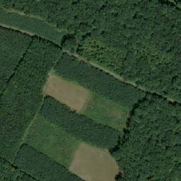 Satellite imagery of Ve Svidníku [Kobylice], CZ