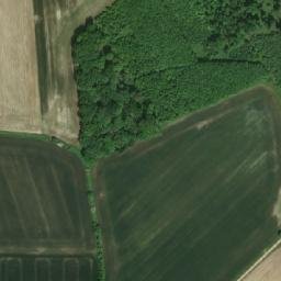 Satellite imagery of Sobětušský bor [Nechanice-Sobětuš], CZ