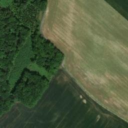 Satellite imagery of Sobětušský bor [Nechanice-Sobětuš], CZ