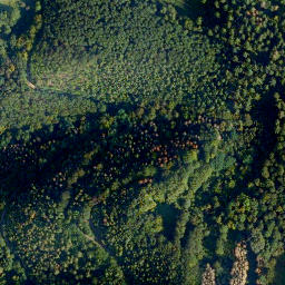 Satellite imagery of Dicken-Berg, DE