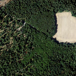 Satellite imagery of Fürstenkopf, DE