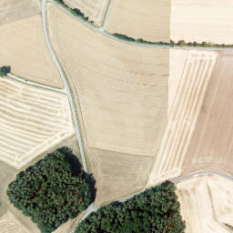 Satellite imagery of Spitzberg, DE