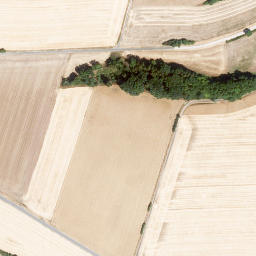 Satellite imagery of Spitzberg, DE