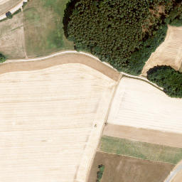 Satellite imagery of Spitzberg, DE