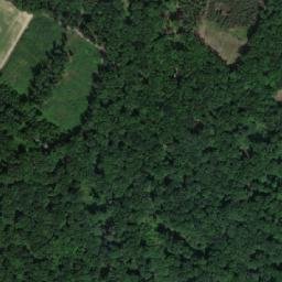 Satellite imagery of V Borech [Lodín], CZ