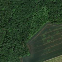 Satellite imagery of Dubina [Střezetice], CZ