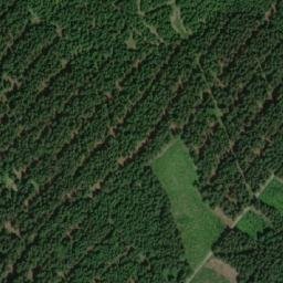 Satellite imagery of (Hraniční les) [Orlické Záhoří-Černá Voda], CZ