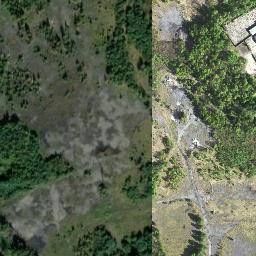 Satelita