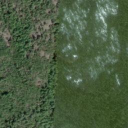 Satellite imagery of Mount Monk, CA