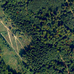 Satellite imagery of Weißlerhöhe, DE