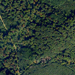 Satellite imagery of Weißlerhöhe, DE