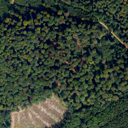 Satellite imagery of Weißlerhöhe, DE