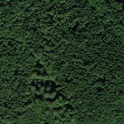 Satellite imagery of Kohlplatte, DE