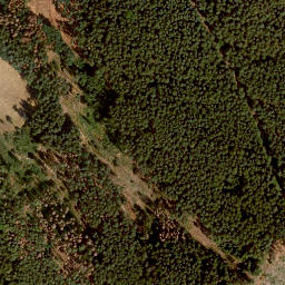 Satellite imagery of Hassenberg, DE