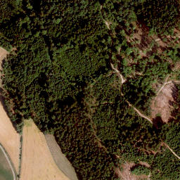 Satellite imagery of Rodachsberg, DE