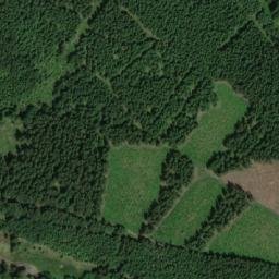 Satellite imagery of (Hraniční les) [Orlické Záhoří-Černá Voda], CZ