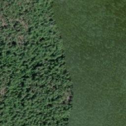 Satellite imagery of Mount Monk, CA