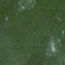 Satellite imagery of Mount Monk, CA